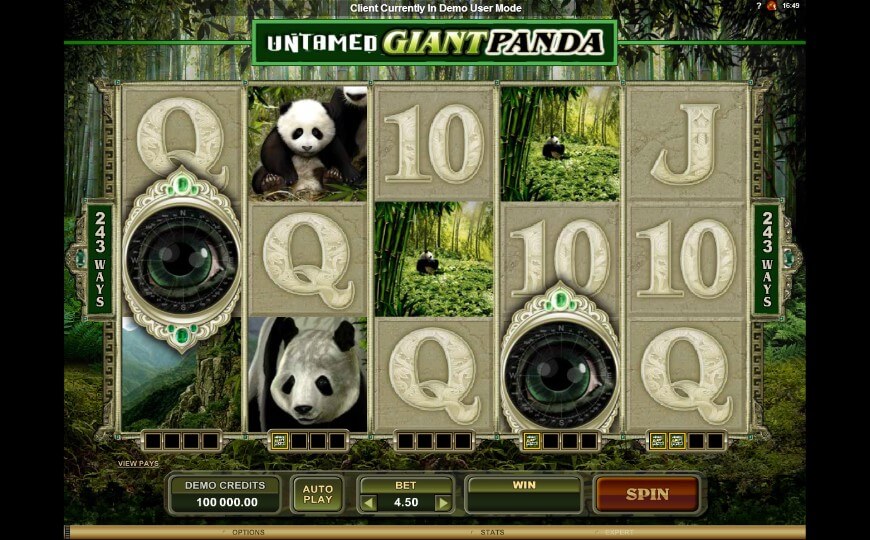 Untamed-Giant-Panda-slot-Microgaming